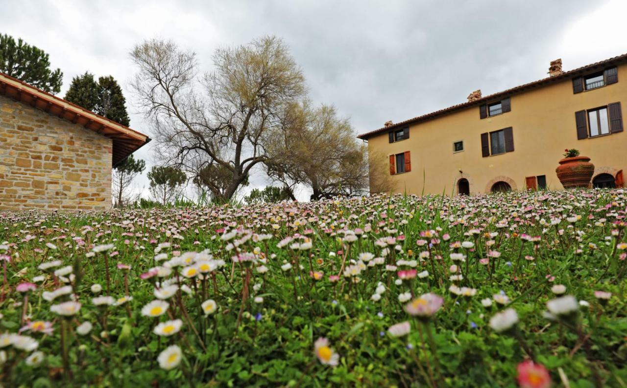 Agriturismo Villa Mozart Nel Verde Губбіо Екстер'єр фото